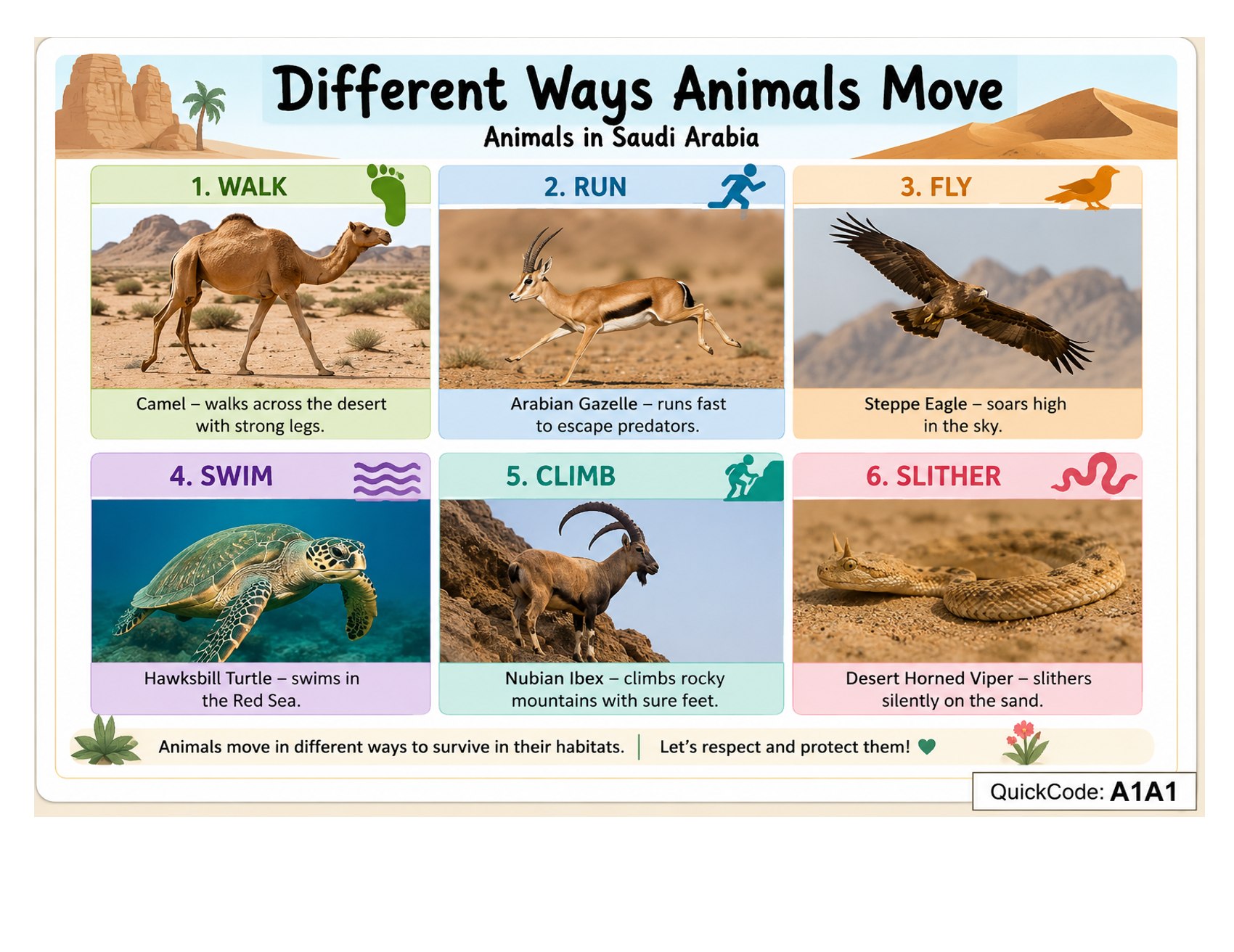 NGScience Gallery – Regal Education